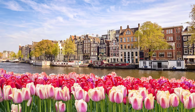 Dedicated Bandwidth (40 GBPS port) server AMSTERDAM-EUROPE