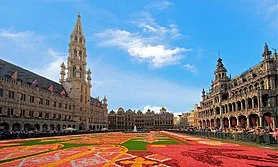 Dedicated Server Home -  Dedicated Servers in Brussels