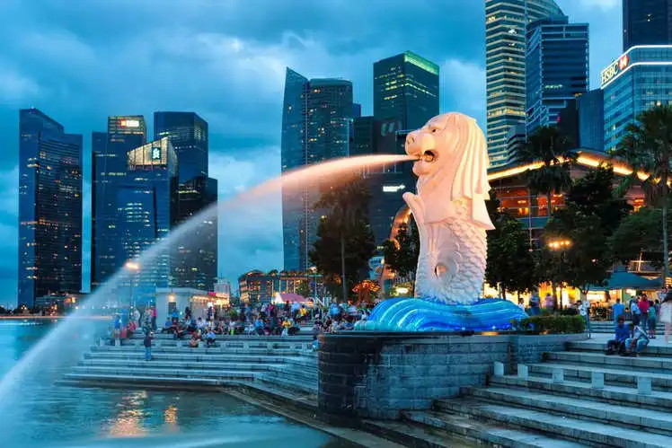 High-Performance Dedicated Servers Singapore
